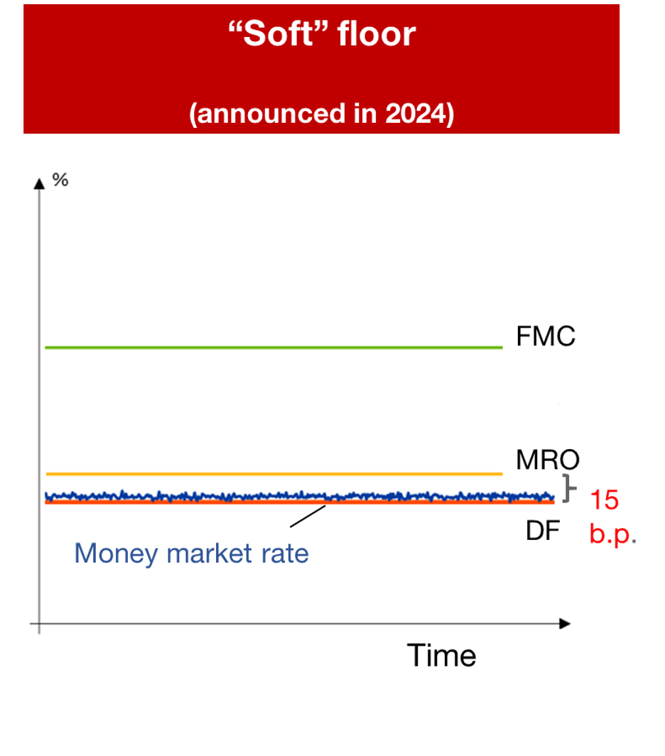 THE REVISED FRAMEWORK AND THE “SOFT” FLOOR SYSTEM